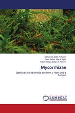 Mycorrhizae