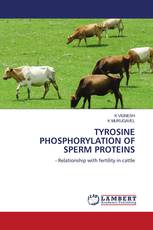 TYROSINE PHOSPHORYLATION OF SPERM PROTEINS