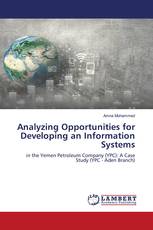 Analyzing Opportunities for Developing an Information Systems