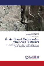 Production of Methane Gas from Shale Reservoirs
