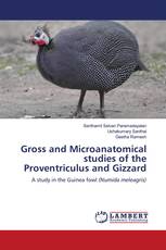 Gross and Microanatomical studies of the Proventriculus and Gizzard