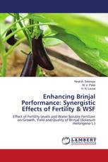 Enhancing Brinjal Performance: Synergistic Effects of Fertility & WSF