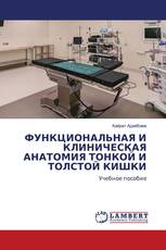 ФУНКЦИОНАЛЬНАЯ И КЛИНИЧЕСКАЯ АНАТОМИЯ ТОНКОЙ И ТОЛСТОЙ КИШКИ
