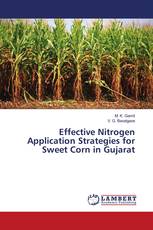 Effective Nitrogen Application Strategies for Sweet Corn in Gujarat