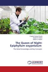 The Queen of Night- Epiphyllum oxypetalum