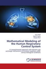 Mathematical Modeling of the Human Respiratory Control System
