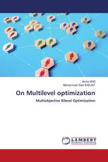 On Multilevel optimization