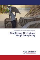 Simplifying The Labour Wage Complexity