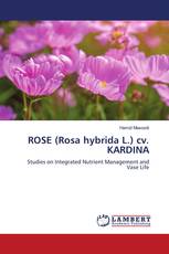 ROSE (Rosa hybrida L.) cv. KARDINA