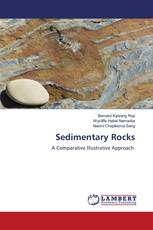 Sedimentary Rocks