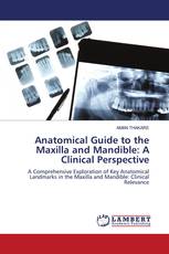 Anatomical Guide to the Maxilla and Mandible: A Clinical Perspective