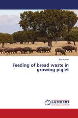 Feeding of bread waste in growing piglet