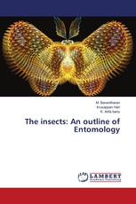The insects: An outline of Entomology