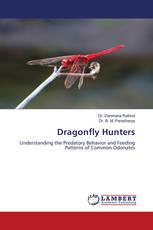Dragonfly Hunters