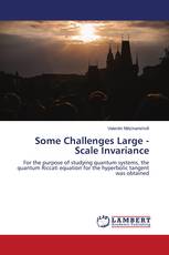 Some Challenges Large - Scale Invariance