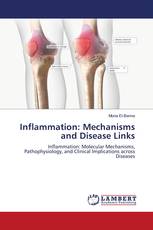 Inflammation: Mechanisms and Disease Links