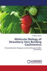 Molecular Biology of Strawberry Vein Banding Caulimovirus