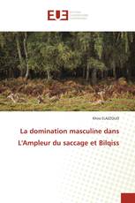 La domination masculine dans L'Ampleur du saccage et Bilqiss