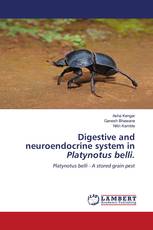 Digestive and neuroendocrine system in Platynotus belli.