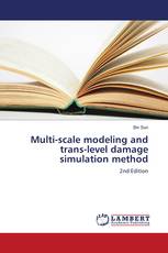 Multi-scale modeling and trans-level damage simulation method