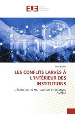 LES CONFLITS LARVÉS À LʼINTÉRIEUR DES INSTITUTIONS