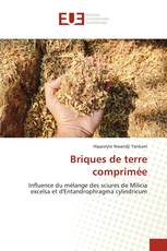 Briques de terre comprimée