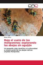 Bajo el vuelo de los meliponinos: explorando las abejas sin aguijón