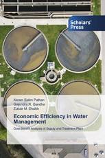 Economic Efficiency in Water Management