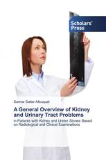 A General Overview of Kidney and Urinary Tract Problems