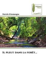 Il pleut dans la forêt…