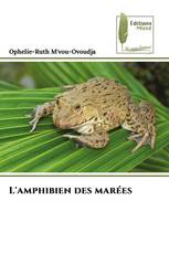 L'amphibien des marées