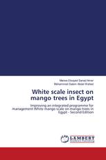 White scale insect on mango trees in Egypt