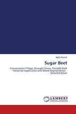 Sugar Beet