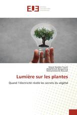 Lumière sur les plantes