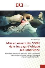 Mise en oeuvre des SONU dans les pays d’Afrique sub-saharienne