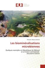 Les biominéralisations microbiennes