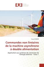 Commandes non linéaires de la machine asynchrone à double alimentation