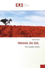 TRAVAIL DU SOL