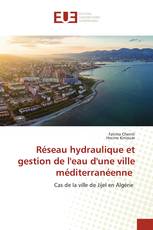 Réseau hydraulique et gestion de l'eau d'une ville méditerranéenne