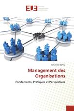 Management des Organisations