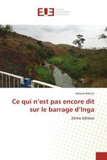 Ce qui n’est pas encore dit sur le barrage d’Inga