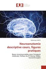 Neuroanatomie descriptive cours, figures pratiques