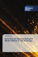 Searches for Beyond Standard Model effects in rare B decays