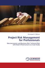 Project Risk Management for Professionals