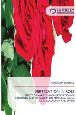 FERTIGATION IN ROSE
