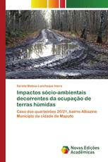 Impactos sócio-ambientais decorrentes da ocupação de terras húmidas