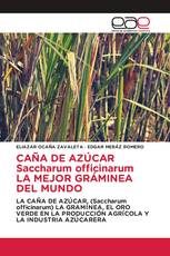 CAÑA DE AZÚCAR Saccharum officinarum LA MEJOR GRÁMINEA DEL MUNDO