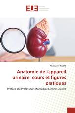 Anatomie de l'appareil urinaire: cours et figures pratiques
