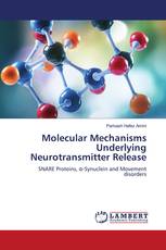 Molecular Mechanisms Underlying Neurotransmitter Release
