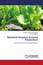 Bacterial Amylase Enzyme Production